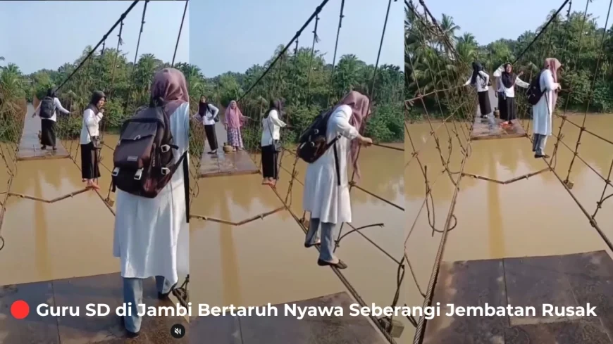 Guru SD di Jambi Bertaruh Nyawa Seberangi Jembatan Rusak Demi Mengajar