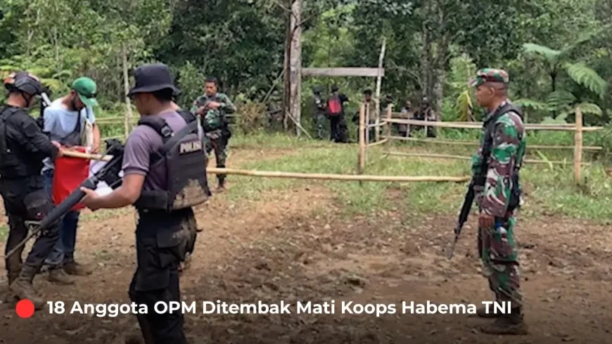 Perdaya Warga Sipil dan Jadikan Tameng Hidup, 18 Anggota OPM Ditembak Mati Koops Habema TNI